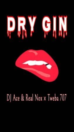 DJ Ace & Real Nox x Tweba 707 – Dry Gin Mp3 Download