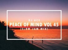 DJ Ace – Peace of Mind Vol 45 (Slow Jam Mix) Mp3 Free Download