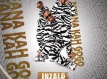 Mfana Kah Gogo – Fikile Ft. Big John & Priddy DJ Mp3 Download