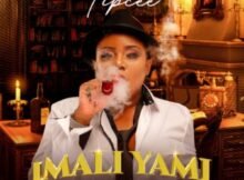 Tipcee – iMali Yami ft. Big Zulu & Dj Joejo Mp3 Download