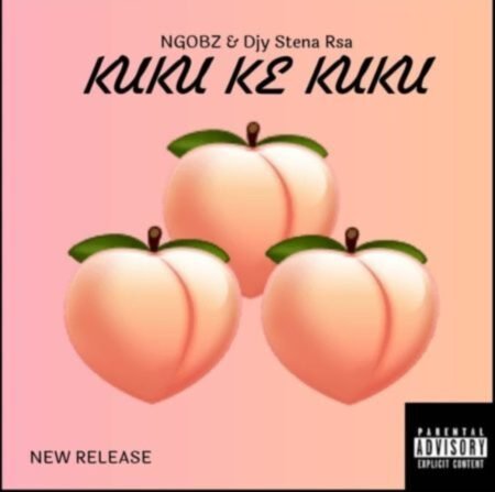 Ngobz & Djy Stena Rsa – Kuku ke Kuku (To Mellow & Sleazy, Myztro, ShaunMusiQ & Ftears) Mp3 Download