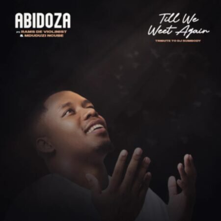 Abidoza – Till We Meet Again (Tribute to Dj Sumbody) ft. Mduduzi Ncube & Rams De Violinist Mp3 Download