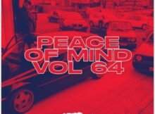 DJ Ace – Peace of Mind Vol 64 (Sunday Chillas Slow Jam Mix) Mp3 Download