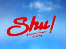 Diamond Platnumz – Shu! ft. Chley Mp3 Download