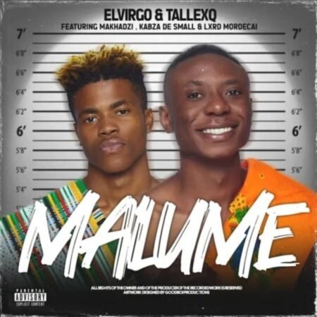 Elvirgo, TallexQ & Chicco – Malume 2.0 ft. Makhadzi, Kabza De Small & Lxrd Mordecai Mp3 Download