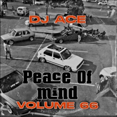 DJ Ace – Peace of Mind Vol 66 (AMA 45 MIX) Mp3 Download